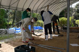 緑の学園