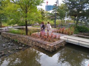 虎渓用水広場（現在の造園空間）