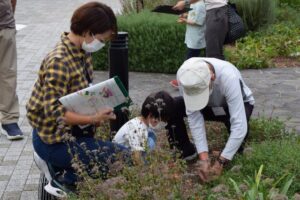 植物ラベルを付ける受講者