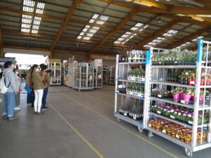 岐阜花き流通センター/土曜日は集荷・出荷が多いとのこと
