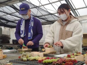 多肉植物を植えこむ様子