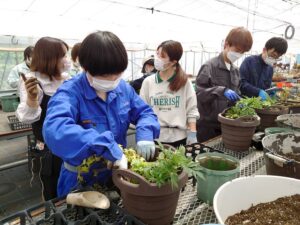 寄せ植えを制作する学生ら