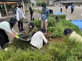 レモングラスを植栽するため土づくり