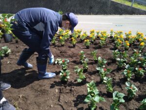 植栽をする学生