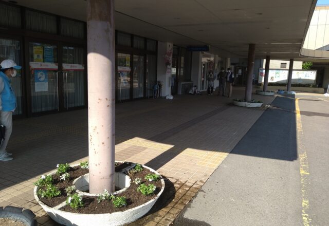 ドーナツ形プランターにはインパチェンス、ヒポエステス、立体プランターにはペチュニアを植栽。場所にあった植物の選択が重要。