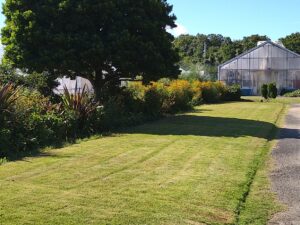 ボーダーガーデンと芝生の管理。芝生がボーダーガーデンの植物を引き立てます。