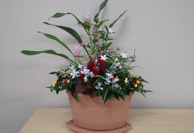 各務原市緑審議会のテーブル花（寄せ植え）