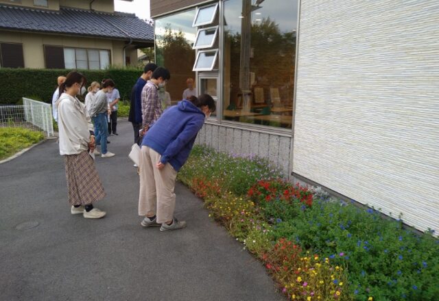 花壇を調査する