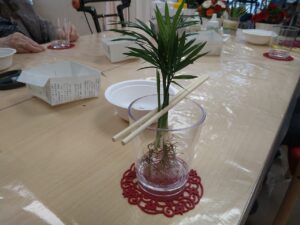 「カラーサンドの観葉植物鉢」割り箸で植物をとめる