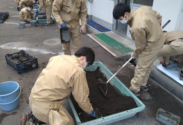 水を入れ土をこねる