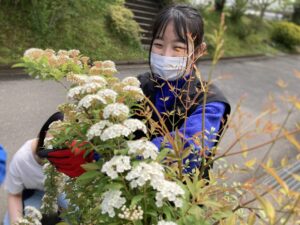 キャンパスの花