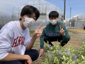 キャンパスの花