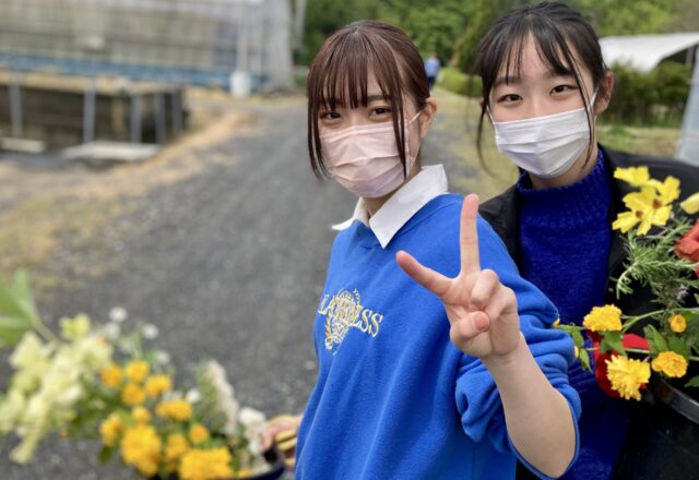 キャンパスの花