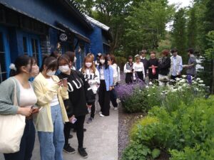 銀の森での花の商業庭園