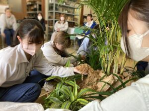 園芸装飾