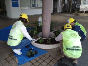 花苗を植える