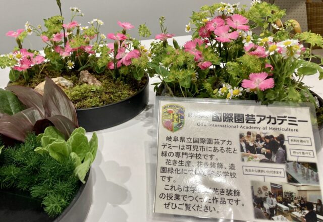 ヨーロピアン