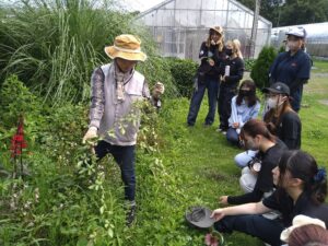 ボーダーガーデンの除草の方法