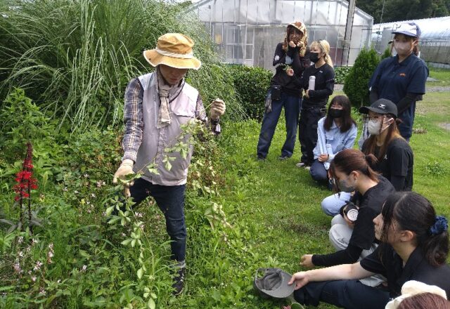 ボーダーガーデンの除草の方法