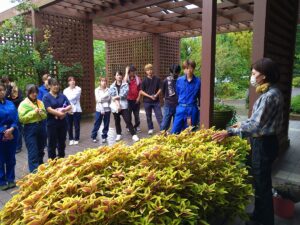 本館前の花壇での実習