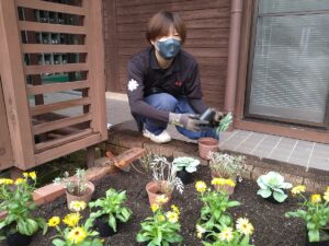 花苗の植栽