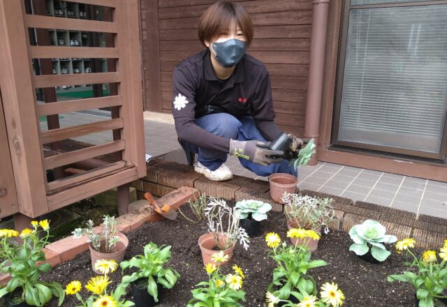 花苗の植栽