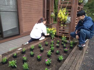 花苗の配置