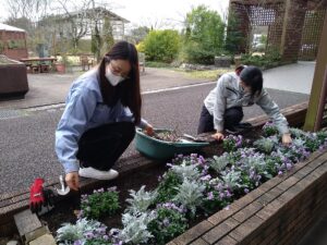 本館前花壇の植物管理