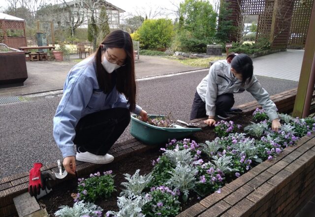 本館前花壇の植物管理