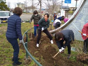 堆肥、鹿沼土、肥料を入れ土づくり