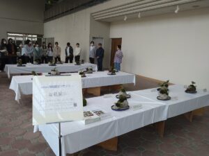 ４月５日～７日まで学生の盆栽を展示