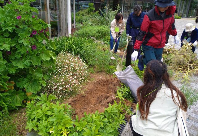 参加者と学生による植え付け