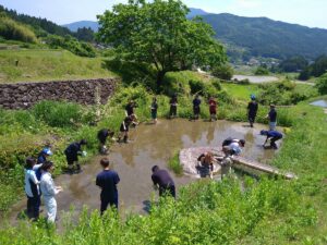 坂折棚田で田植え体験（環境教育）