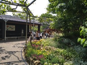 銀の森の花壇