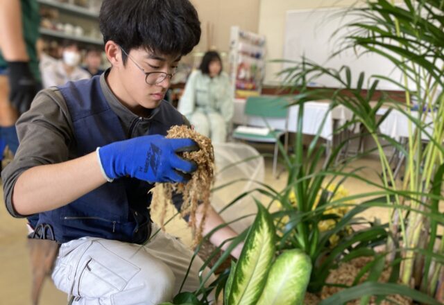 園芸装飾