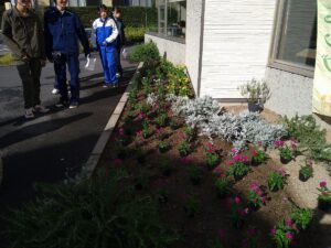花苗の仮置き