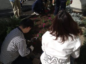利用者と花苗の植栽